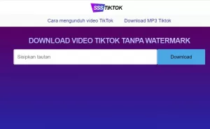 Download video tiktok tanpa watermark ssstiktok