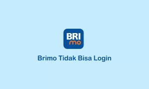 brimo tidak bisa login