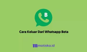 cara keluar dari whatsapp beta